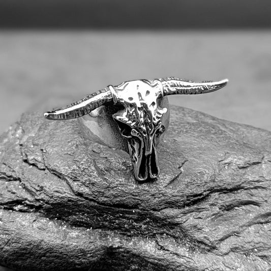 Longhorn Skull